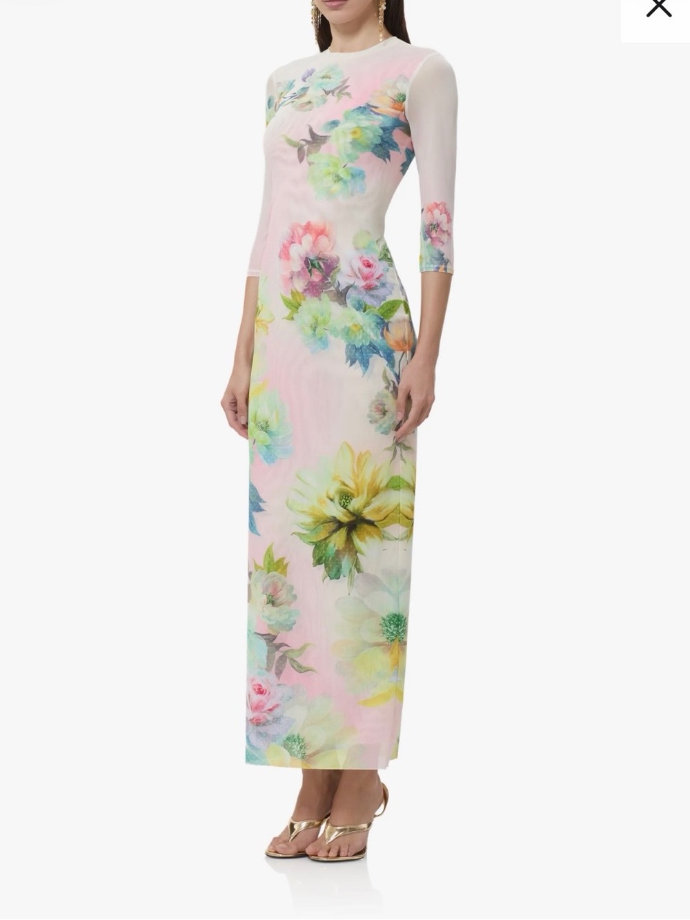 AFRM Floral Print Mesh Bodycon Maxi Dress Growing Roses